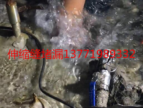 苏州明利堵漏