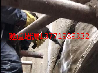 堵漏/冷凝水治理