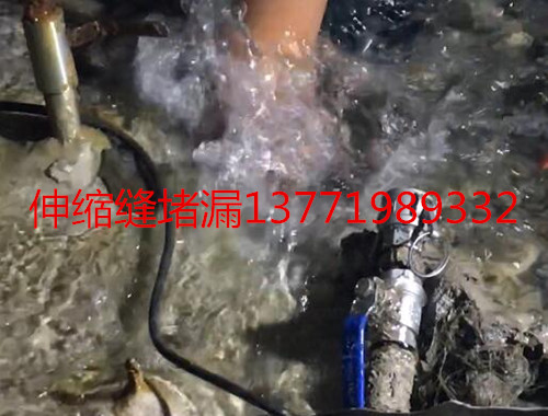 明利专注地下漏水堵漏视频