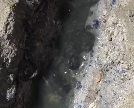 污水池堵漏